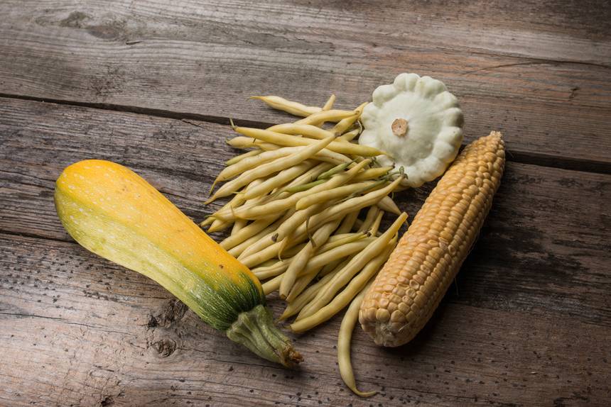 Ingredientes de la Dieta Milpa